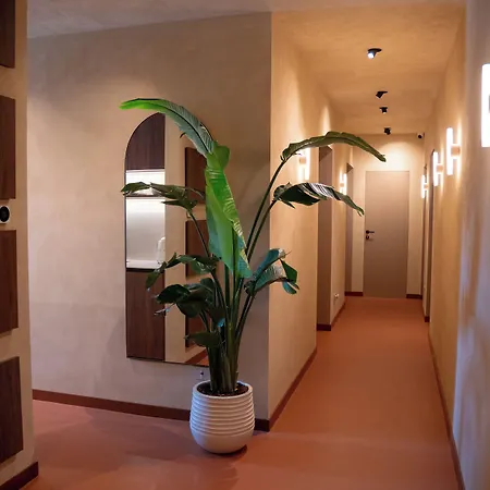 Hotel Susa 3*